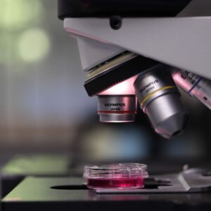 Beginner Microscopes
