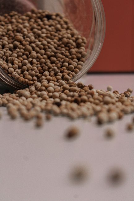 spill the beans