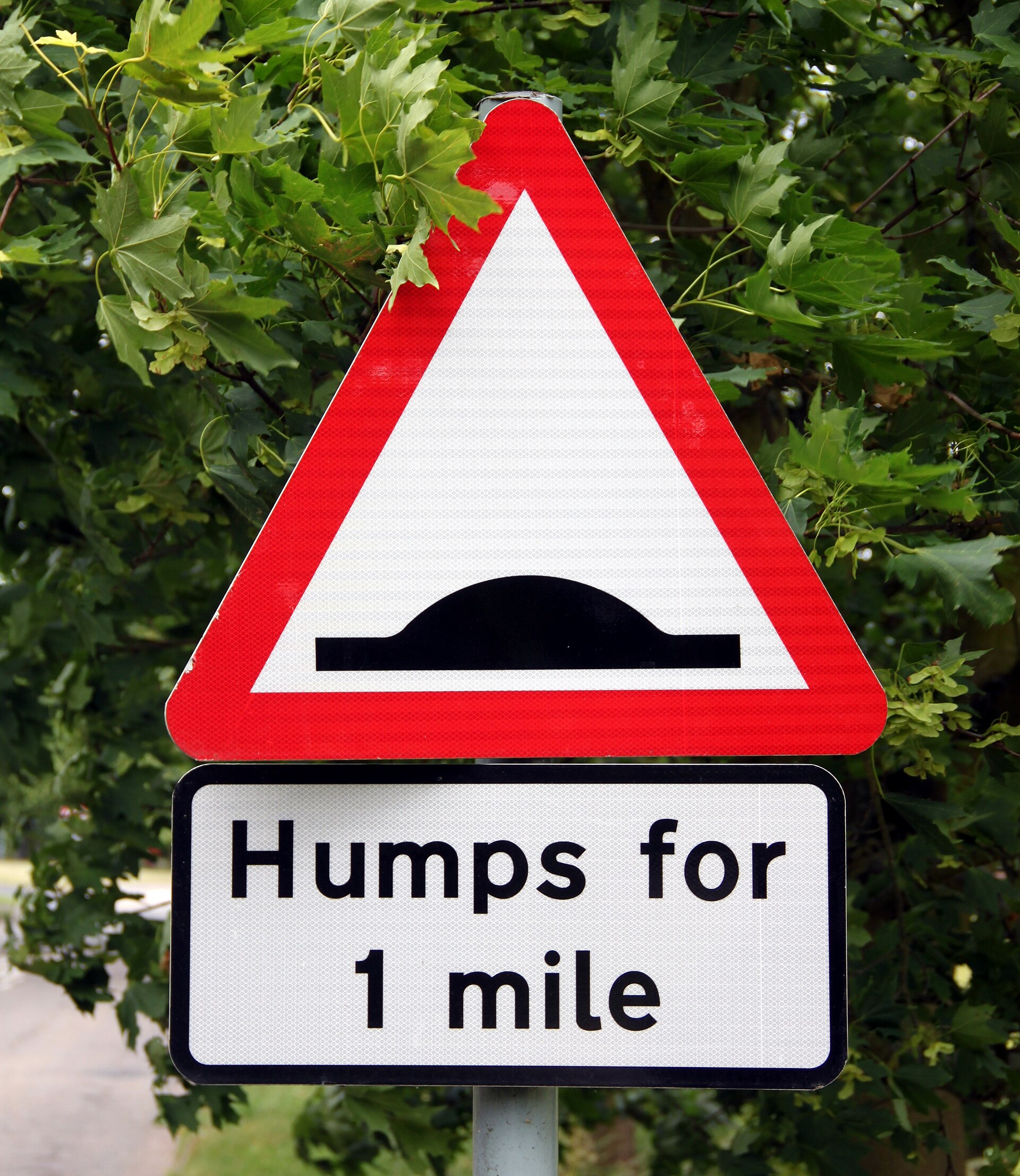 speed bumps