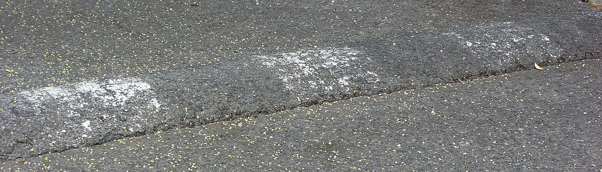 speed bumps